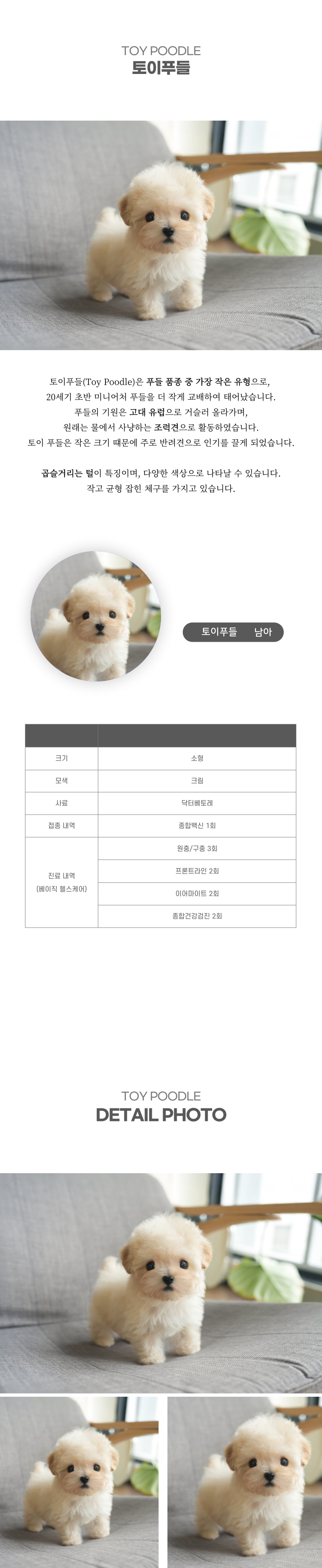 토이푸들_상세이미지_2